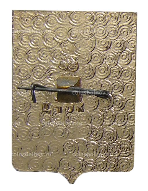 Значок Владимир