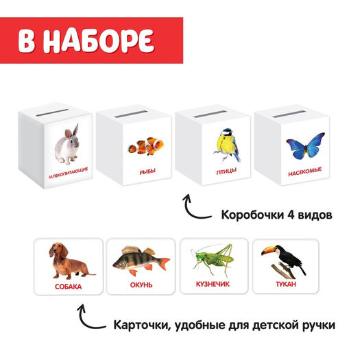 Сортер-копилка Животные по методике Г. Домана - Iq-zabiaka фото 4