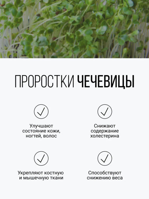 Смесь из семи видов проростков 200г (пшеница, полба, спельта, рожь, овес, чечевица, зеленая гречка)