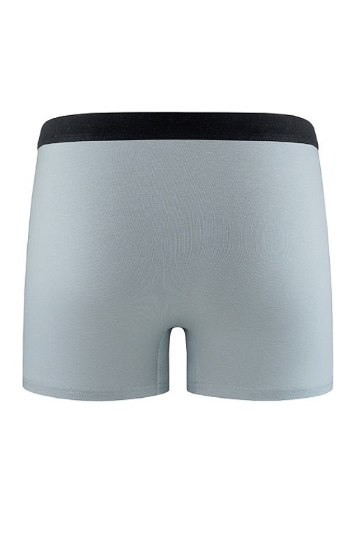Мужские трусы BB87 Серый