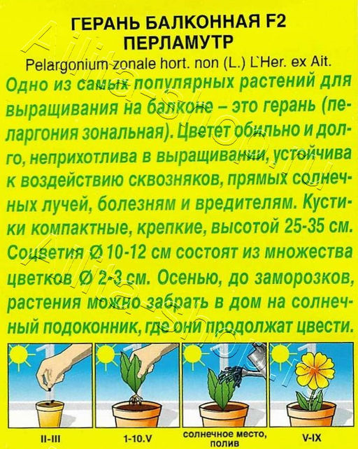 Герань Балконная перламутр F2 5шт. (Аэлита)
