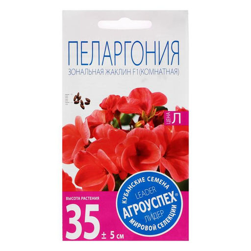 Семена цветов Пеларгония зональная «Жаклин», F1, 4 шт.