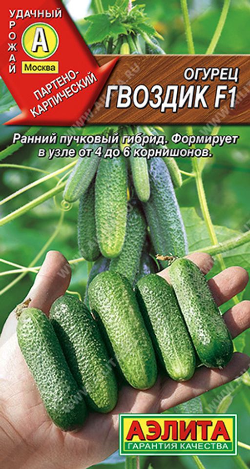 Огурец Гвоздик F1 --- Парт