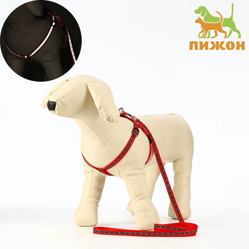 Комплект светоотражающий Косточки, ошейник 120 х 1 см, ОШ 26-42 см, ОГ 26-42 см, красный