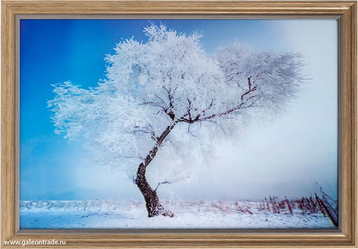 Картина 5D 40х60 097 Мороз / ZR8843B-339350 / - ГалеонТрейд фото 2