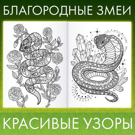 Цена за 2 шт. Раскраска Прекрасные и опасные змеи, 32 раскраски, А4 - Буква-Ленд фото 2