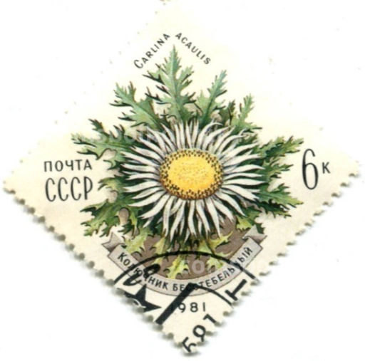 Марка Колючник бесстебельный 1981 год