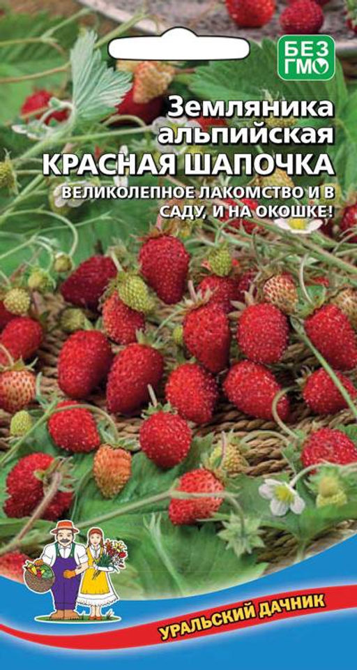 Земляника КРАСНАЯ ШАПОЧКА Великолепное лакомство и в саду и на окошке!