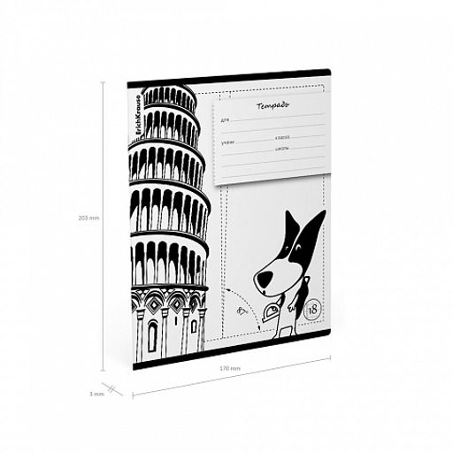 Цена за 10 шт. Тетрадь школьная ученическая ErichKrause Путешественник, 18 листов, клетка (в плёнке по 10 шт.)_MIX-PACK  фото 10