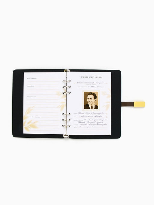 Родословная книга со встроенной флешкой 16 Gb «Семейная летопись», 17.5×23 см