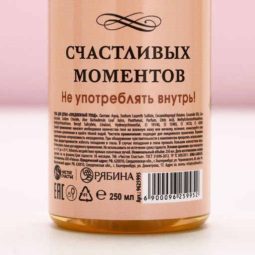 Новогодний подарочный набор косметики «Для тебя», гель для душа шампанское 250 мл и бомбочки для ванны 5×40 г, Чистое счастье