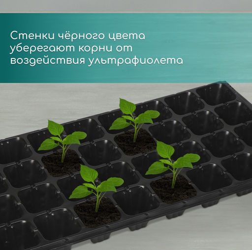 Цена за 2 шт. Кассета для рассады, на 32 ячейки, по 110 мл, пластиковая, чёрная, 53.5×27×5.5 см, Greengo