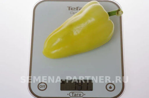 Перец сладкий Злата Прага - Партнер фото 5