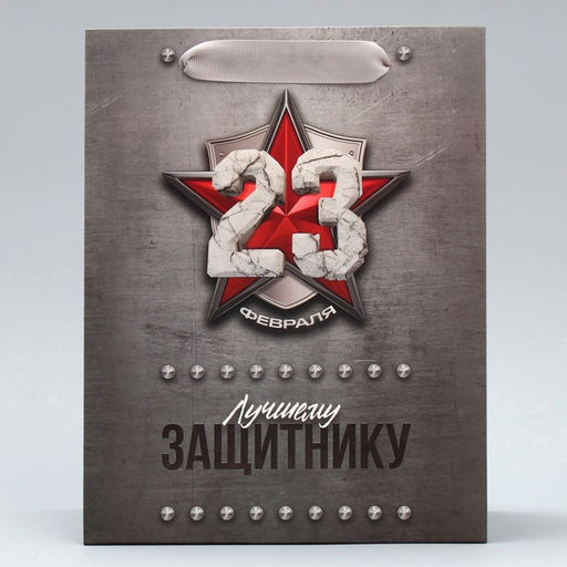 Цена за 2 шт. Пакет подарочный ламинированный, упаковка, «С 23 февраля», ML 23×27×11.5 см