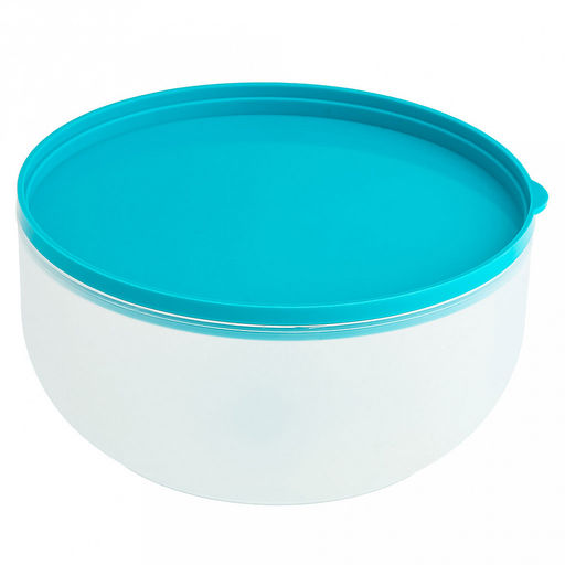 Контейнер пластмассовый "Фонтаны белого города" 1,2л, д16,2см, h8см, полипропилен, круглый, бирюзовый (Россия)