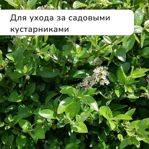 Секатор плоскостной, 8 (20 см), с металлическими ручками, МИКС, Greengo фото 8