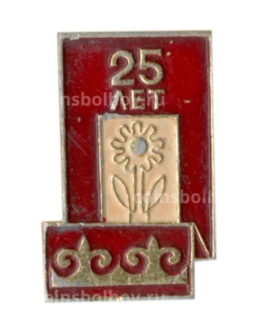 Значок 25 лет