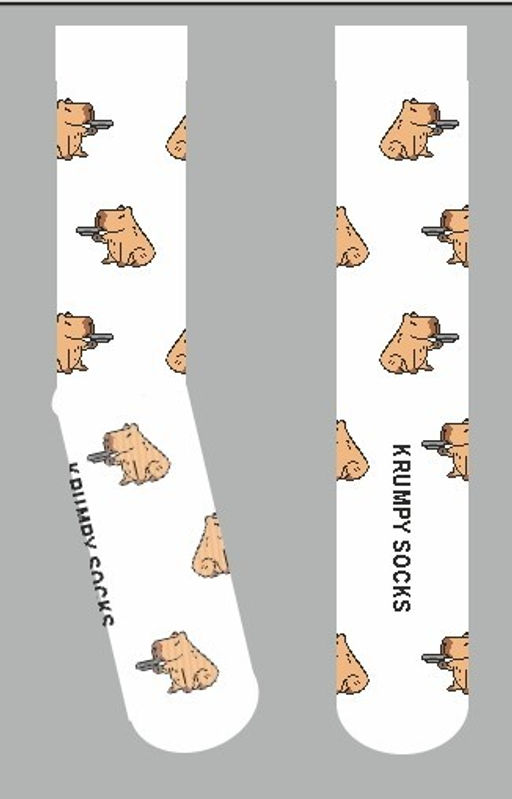 Носки р.40-45 TxT Капибара - Krumpy фото 10