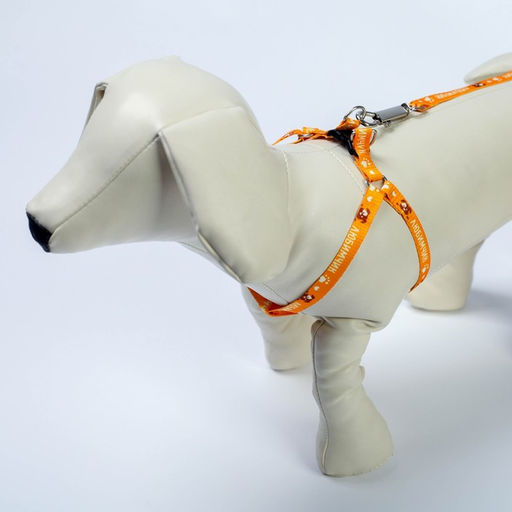 Комплект Любимчик, шлейка 24-34 см, поводок 120х1 см - Пушистое счастье фото 4