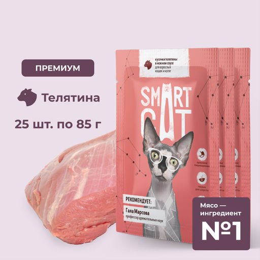 "Упаковка 25 шт" Паучи для взрослых кошек и котят кусочки телятины в нежном соусе
