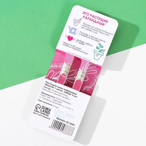 Набор для выращивания, карандаши подарочные «Базилик + Мята», mini, простые чернографитные, 2 шт.