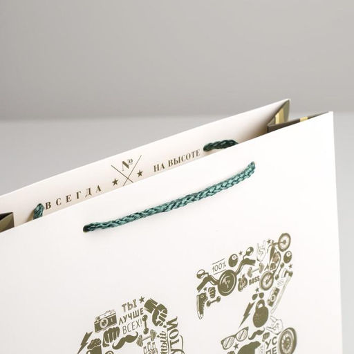 Цена за 2 шт. Пакет подарочный ламинированный, упаковка, 23 февраля, M 26?30?9 см