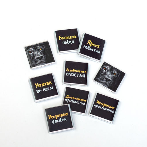 Набор 9 шоколадок Самому сильному, смелому и отважному (лев) - 8 чудо фото 3