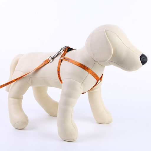 Комплект Чертовски хорош, шлейка 24-36 см, поводок 120х1 см - Пушистое счастье фото 4