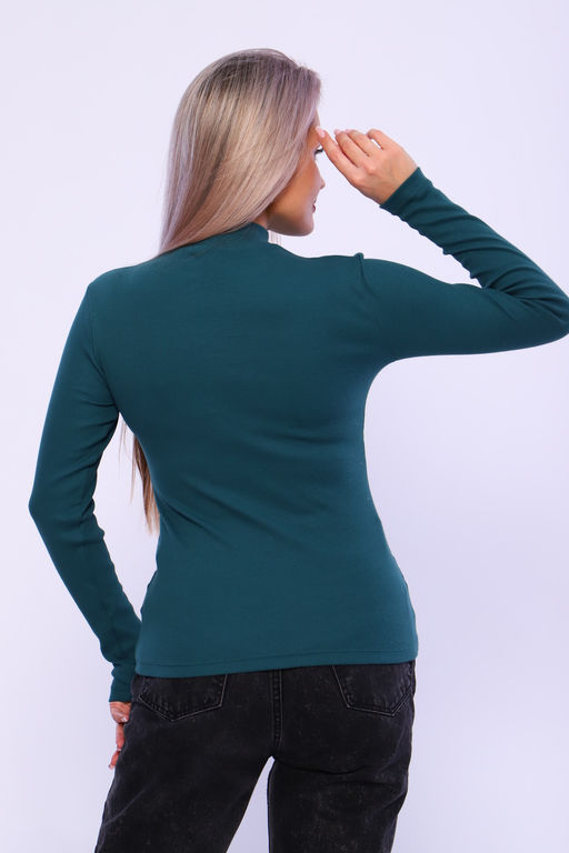 Водолазка ВЖ0059