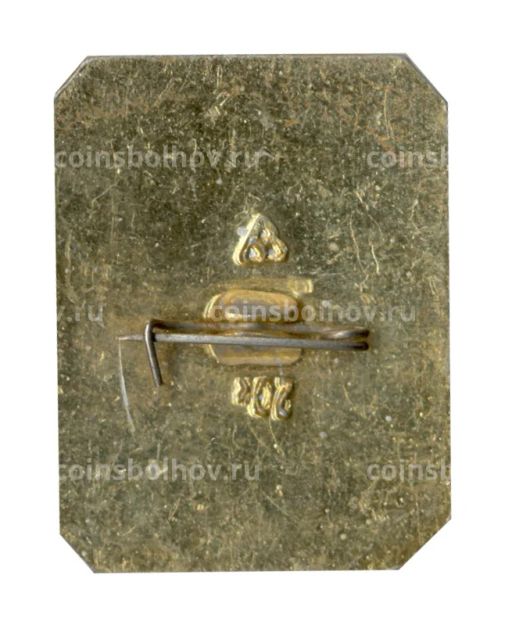 Значок Владимир