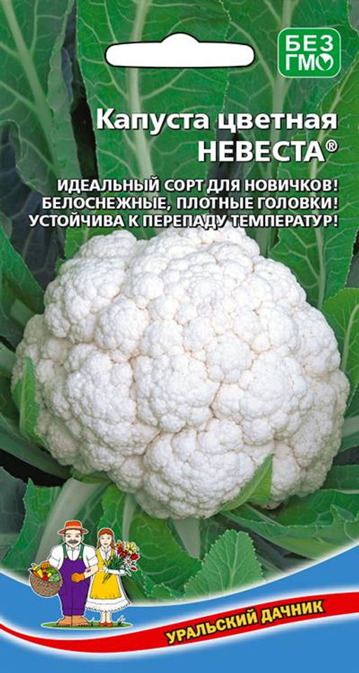 Капуста цветная НЕВЕСТА Идеальный сорт для новичков! Белоснежные, плотные головки! Устойчива к перепаду температур!