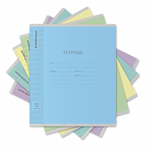 Цена за 280 шт. Тетрадь школьная ученическая ErichKrause Классика Visio ассорти, 12 листов, частая косая линейка (в плёнке по 10 шт.) фото 45