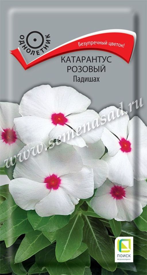 Катарантус розовый Падишах (ЦВ) ("1) 0,1гр