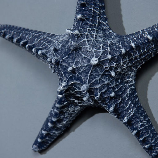 Декор настенный, панно «Морская звезда», 23 см