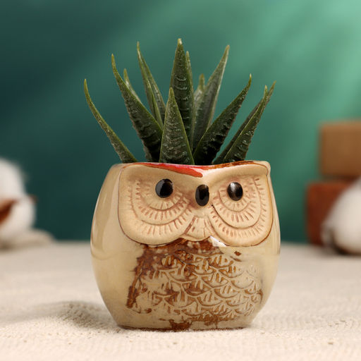 Декоративный горшок для цветов «Сова Ава» керамический, 150 мл, 6×6×6.5 см, МИКС