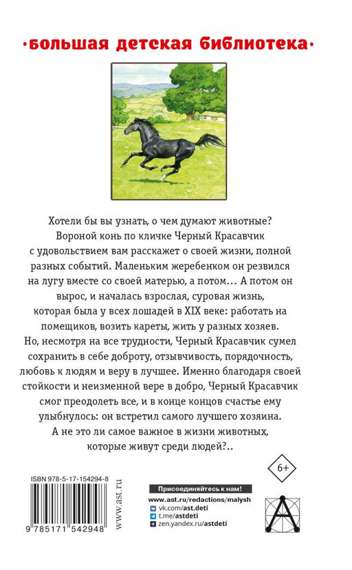 Черный красавчик