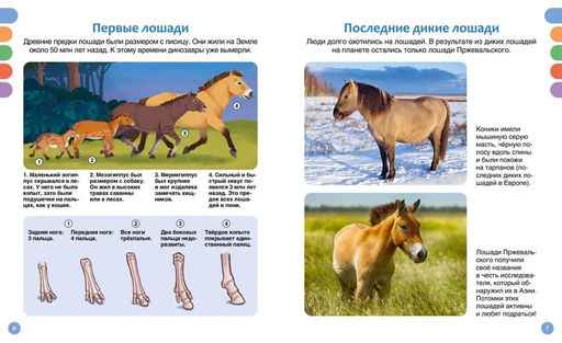 Лошади. Гийоре М.-Р. - Махаон фото 2