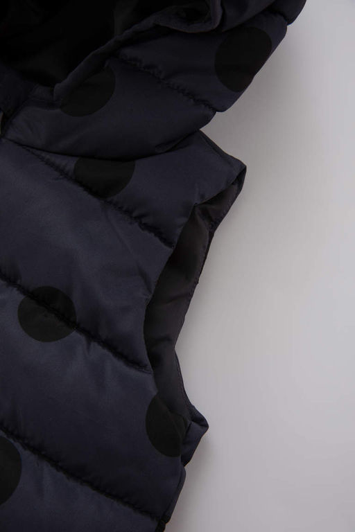 Пуховик с капюшоном и узором для маленьких девочек - Defacto фото 3