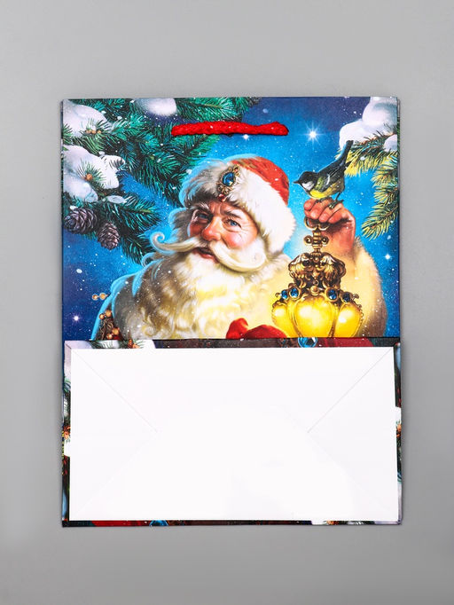 Цена за 2 шт. Пакет подарочный новогодний ламинированный, «Дед Мороз», 18×10×22.3 см