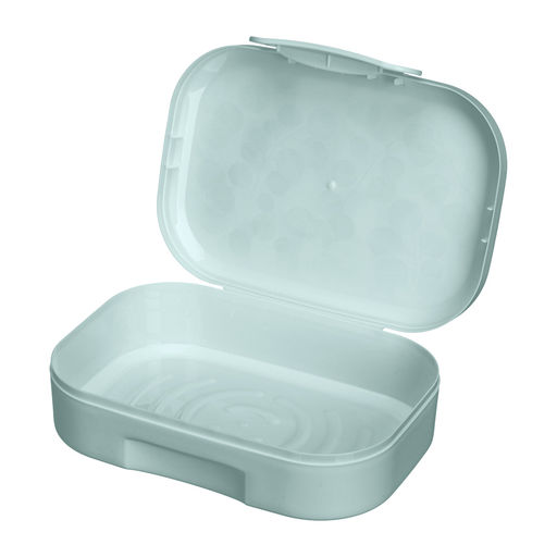 ЛАНЧ-БОКС С ДЕКОРОМ Madre Terra, 180x130x50ММ, 0,98Л (Светло-голубой) - Phibo фото 4