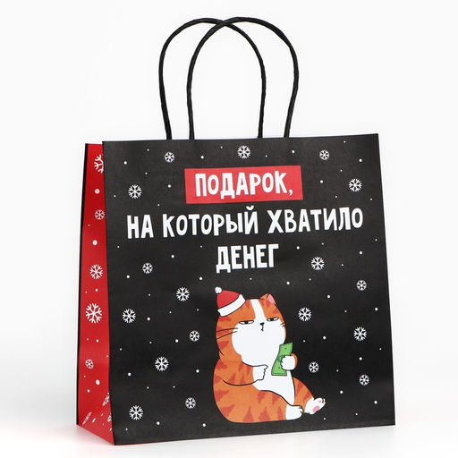 Цена за 2 шт. Пакет подарочный новогодний «Подарок», 22×22×11 см