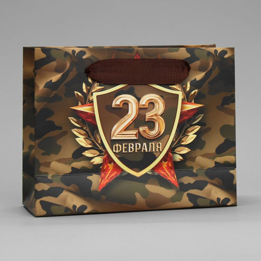 Цена за 2 шт. Пакет подарочный ламинированный, упаковка, «С 23 февраля», S 15×12×5.5 см