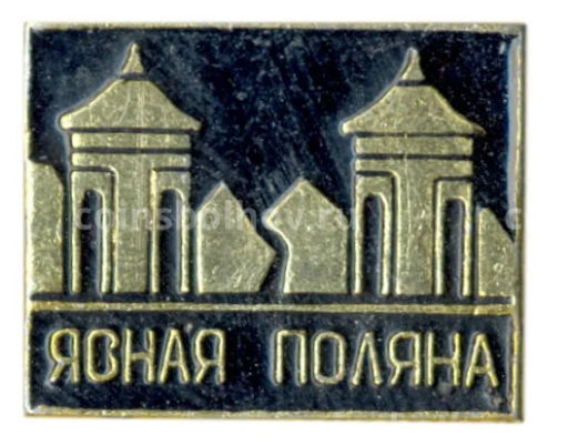 Значок Ясная Поляна