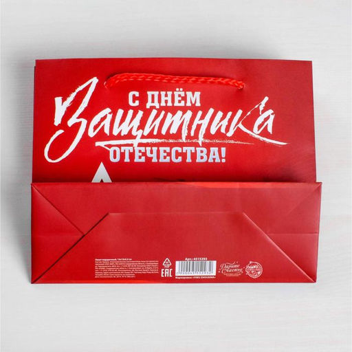 Пакет подарочный ламинированный, упаковка, «С Днем защитника Отечества», L 31 х 40 х 11.5 см