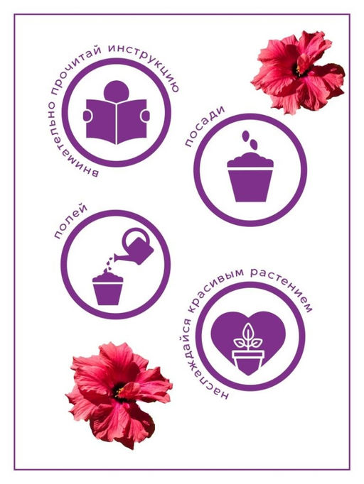 Набор д/выращивания "Тысяча листьев", "Сумасшедшая роза"