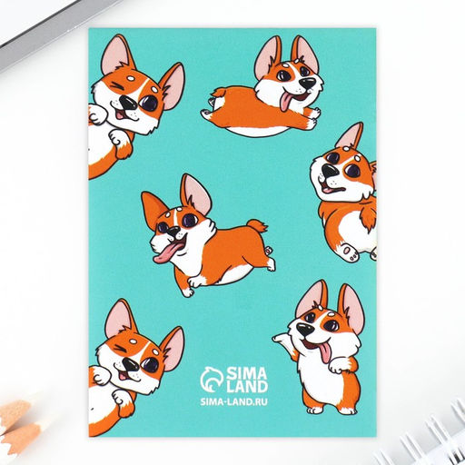 Подарочный набор блокнот, ручка и ластик Корги от тебя в восторге