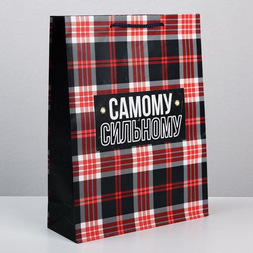 Цена за 2 шт. Пакет подарочный ламинированный, упаковка, Real strong, L 28?38?9 см