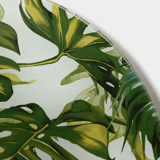 Тарелка Доляна «Монстера», d=20 см, стекло