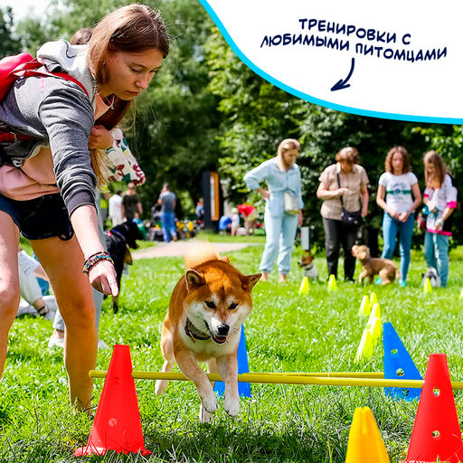 Конусы для эстафеты, 6 шт.