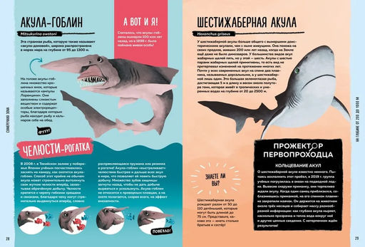 Мир вокруг тебя. Тайны мирового океана. Фланнери Т. - Махаон фото 3